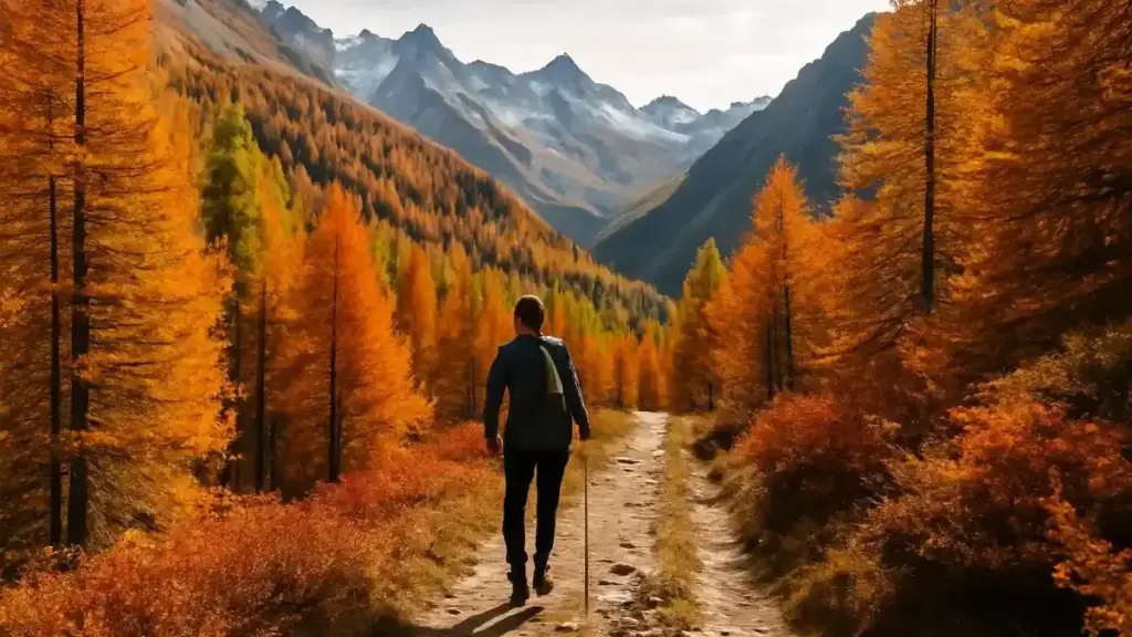 Trentino in autunno: cosa verificare prima di scegliere una passeggiata in montagna