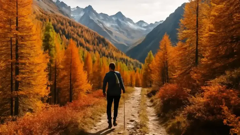 Trentino in autunno: cosa verificare prima di scegliere una passeggiata in montagna